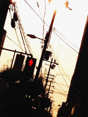 赤信号 【写真】