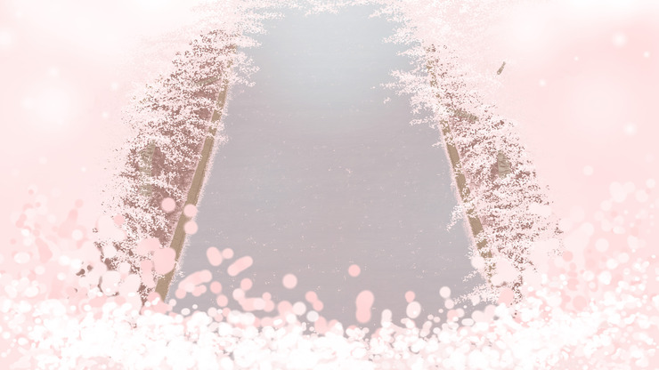 桜堤