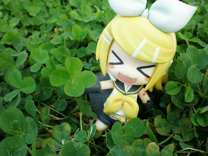 よつばのクローバー