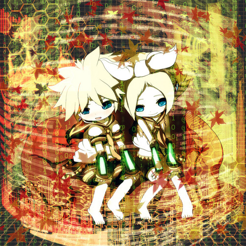2009年 秋