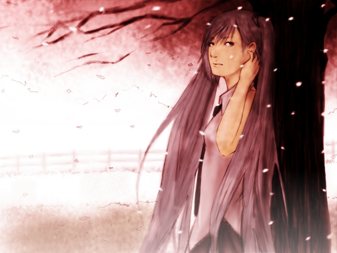 桜の季節に