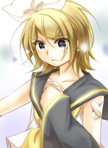 レゾンデートル