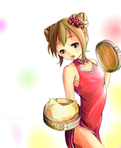 【塗らせていただきました】中華風なミクさん