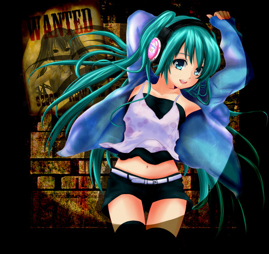 ターゲット MIKU☆