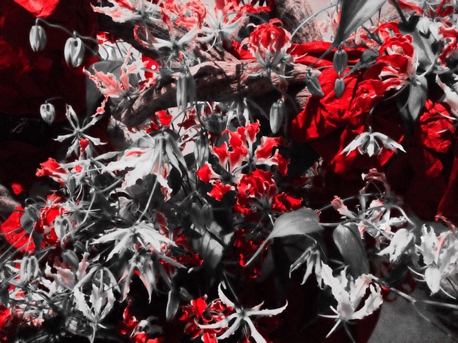 花