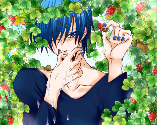 苺とKAITO