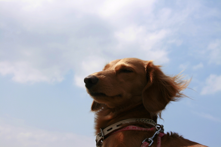 風を感じて