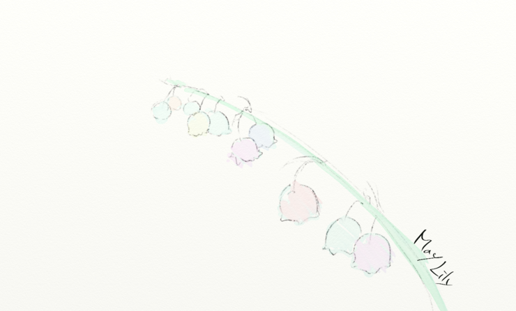 May Lily