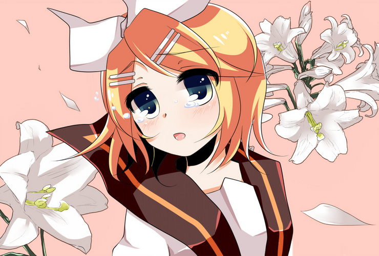 鏡音リンの憂鬱