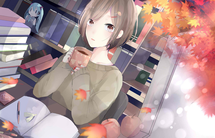 11月