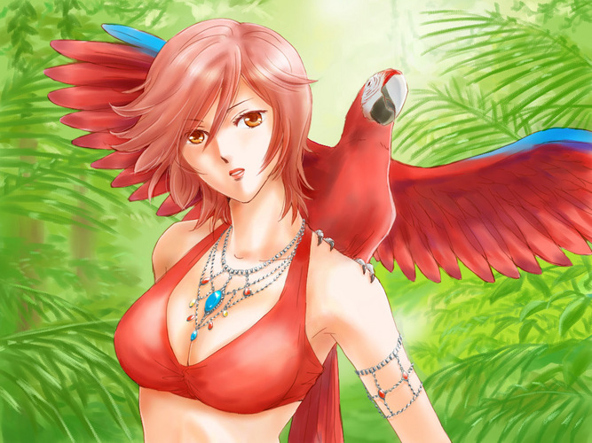 熱帯姉さん