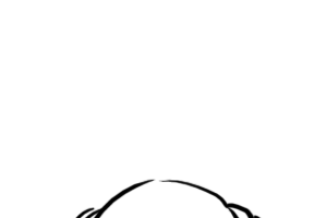 ネギじゃなくてニラ。