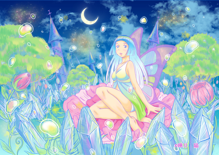 妖精花咲く夜