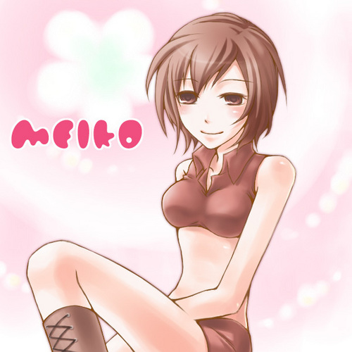 初☆MEIKO…?