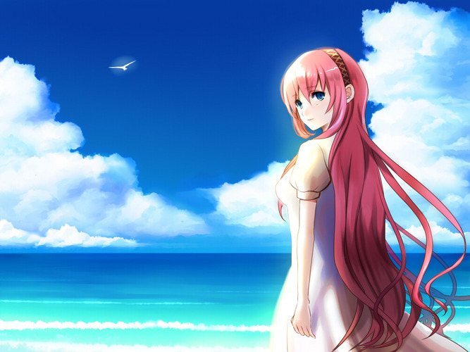 夏の音