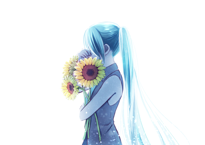 初音ミク生誕ひまわりレー