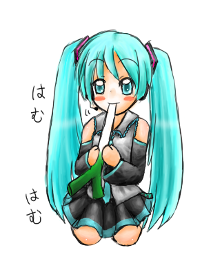 ネギがあればいいのです