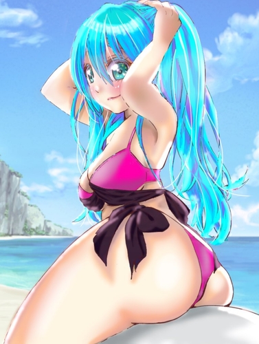 海