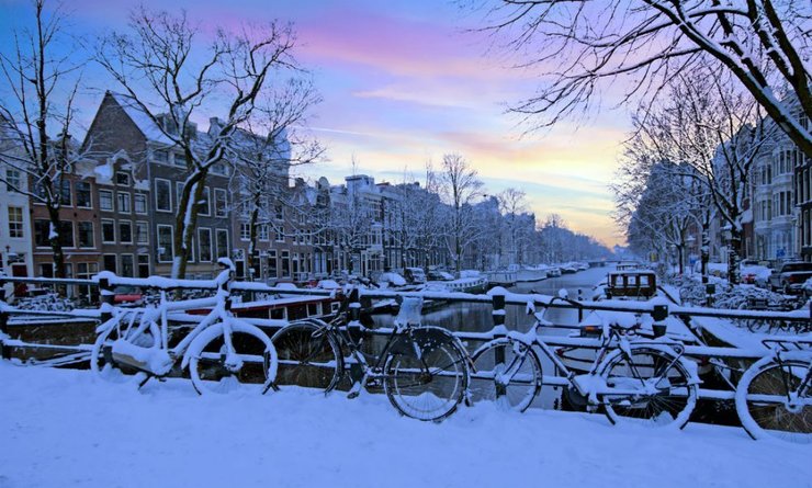 雪化粧