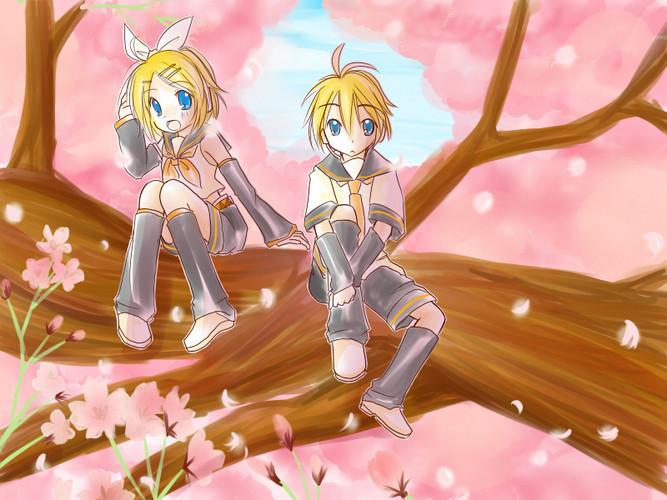 桜の森で