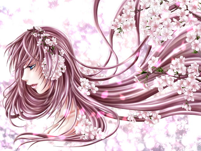 桜 in the way