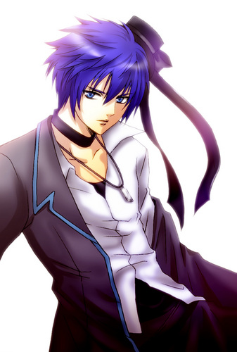 IMITATION BLACK KAITO