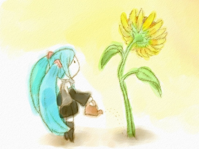 向日葵