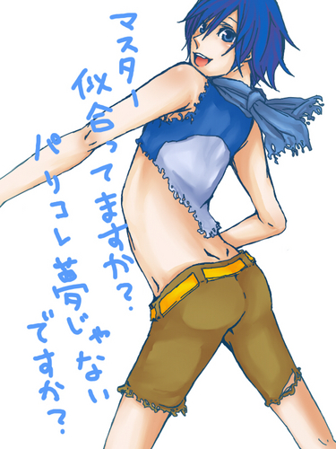 クールビズ