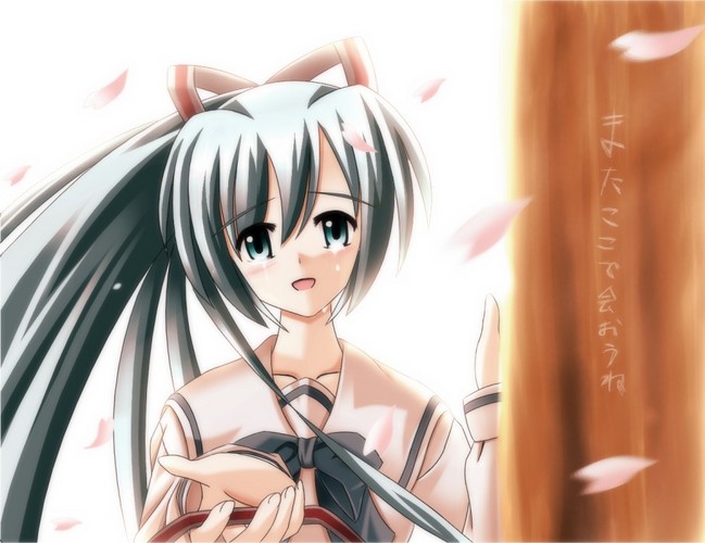 きっとこの場所で