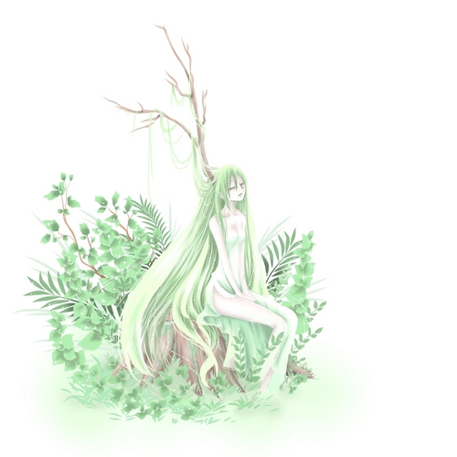 木