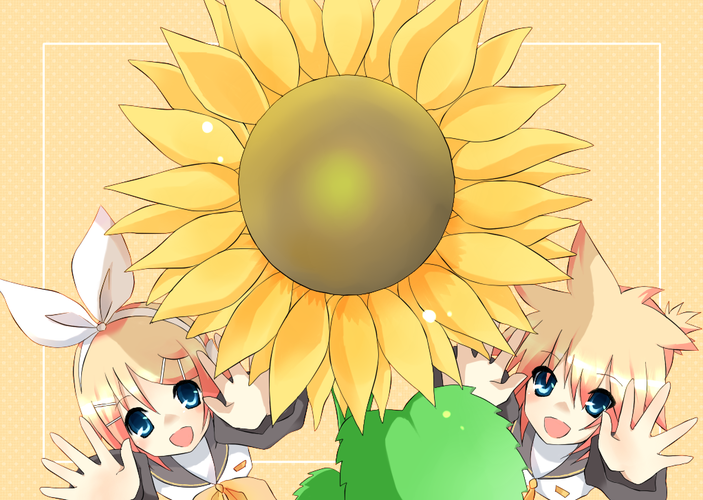 ひまわり