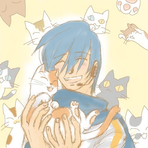 ぬこ・出会い2