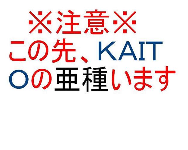 【KAITO亜種】BAKUTO【描かせていただいた】