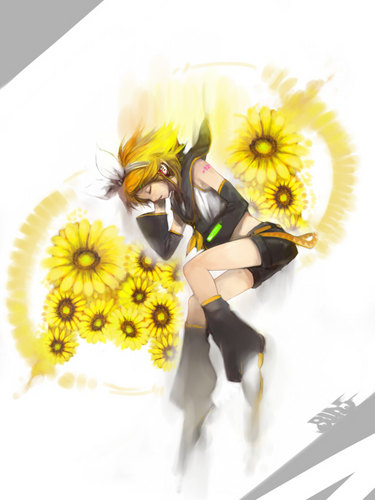 暴カロイドに花束を