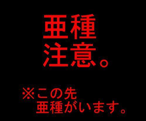 鉛筆書き「三頭身ぬこ帯人」