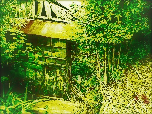 廃屋