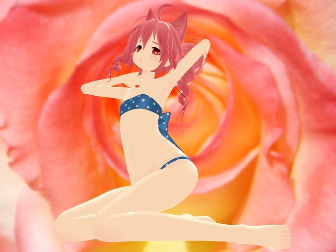 今日はテトさんの日だということで・・・。