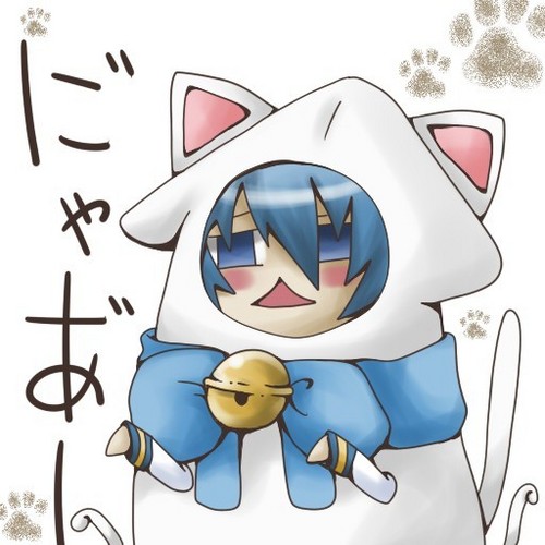 ねこいか。