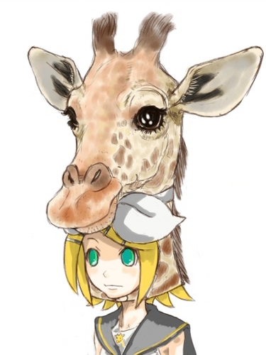 キ…