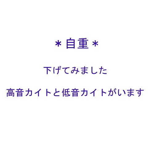 カイト×2