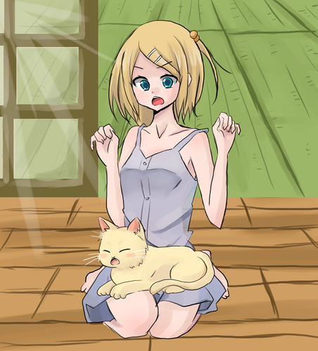 猫と戯れるリンたそ