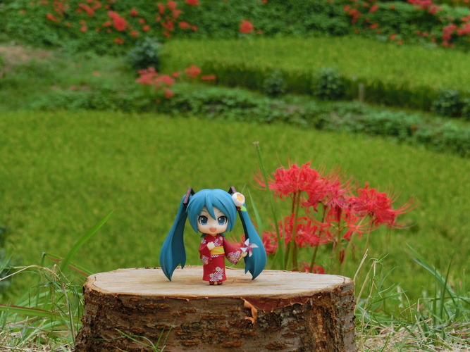 彼岸花とミクさん