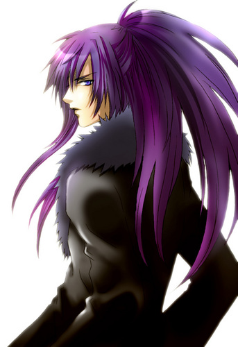 IMITATION BLACK Gakupo