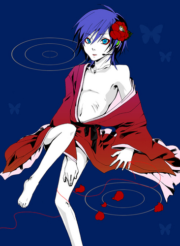 夜蝶