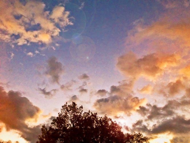 夕暮れ時