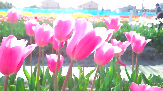 それでも春は、やってくる