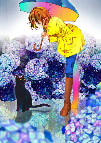 夏、rain
