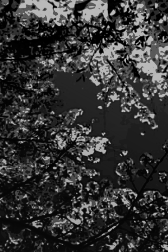 背景素材【桜】