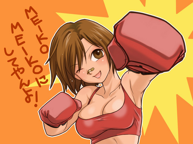 ハードパンチャー。