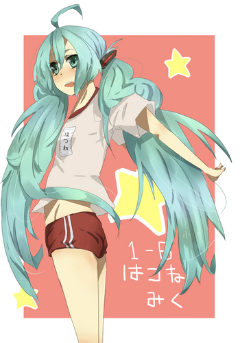ブルマミク